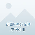 末世降临：小尸尸我呀囤囤囤囤！